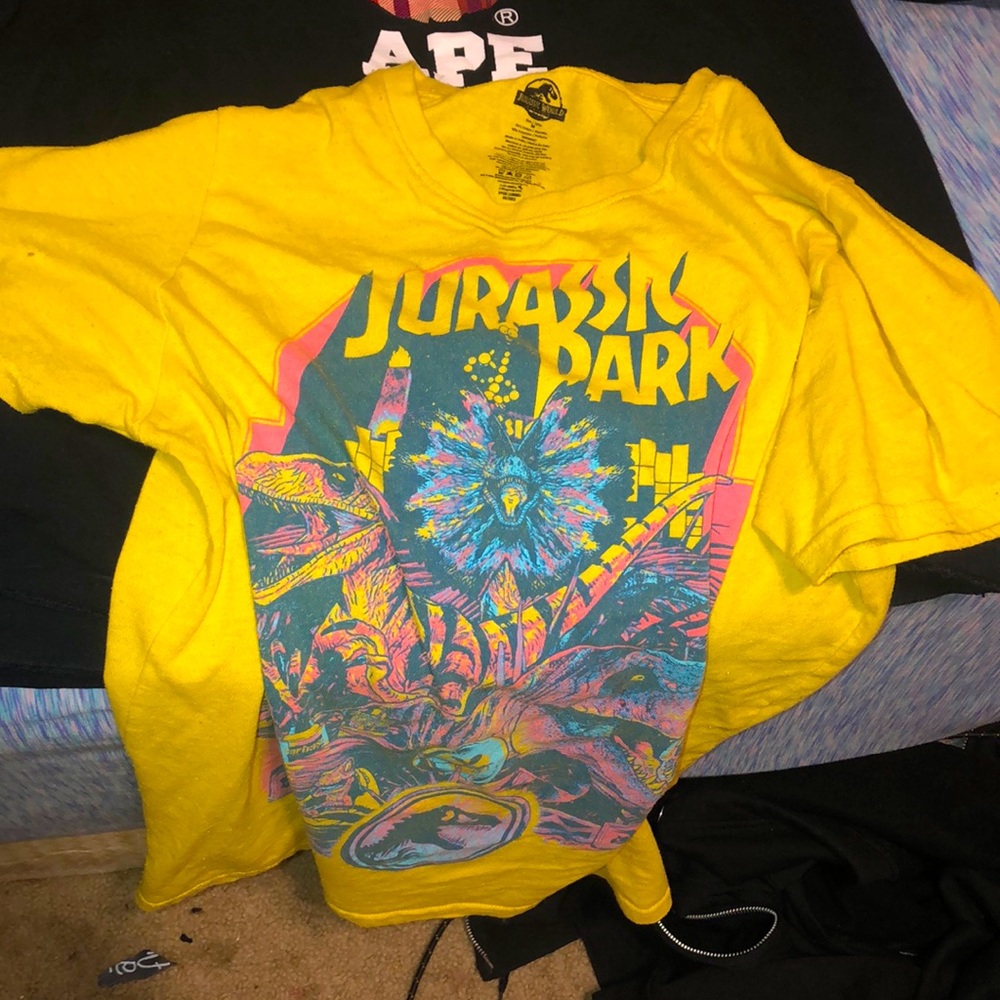Vintage inspired Jurassic park mens t shirt